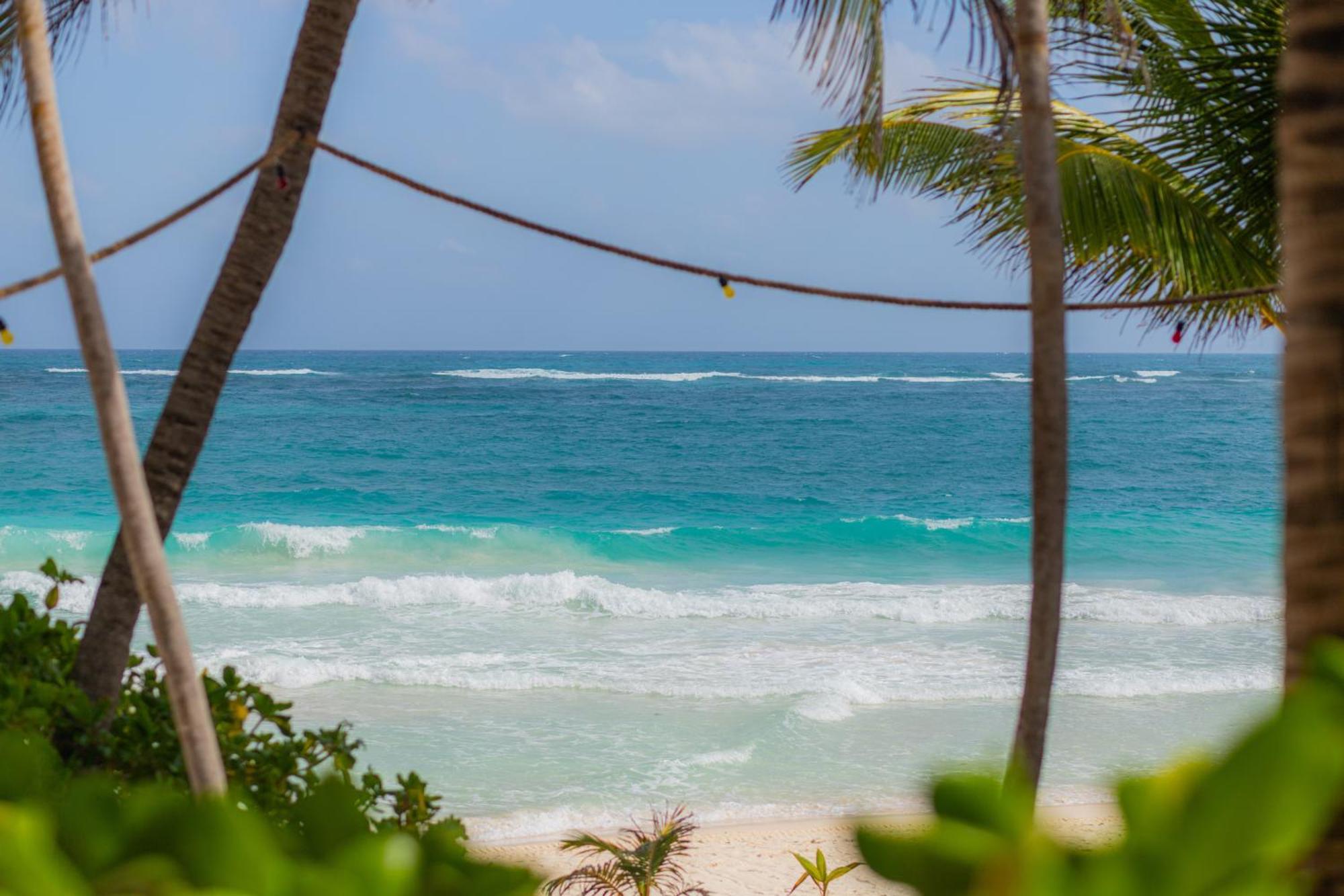 Casa Gitano Hotel Tulum Bagian luar foto